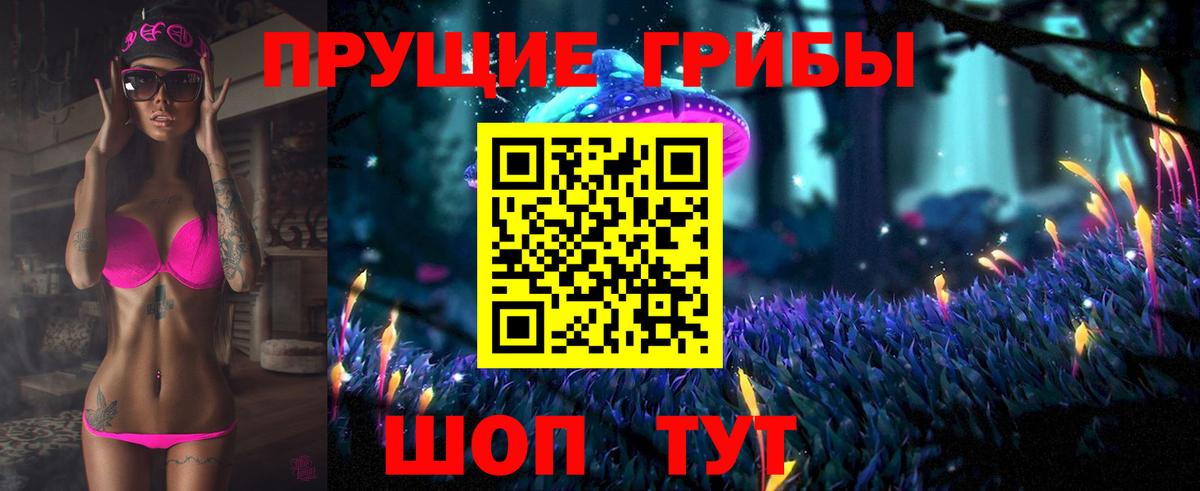 Сертолово  Галлюциногенные грибы Psilocybe  Вход с VPN 